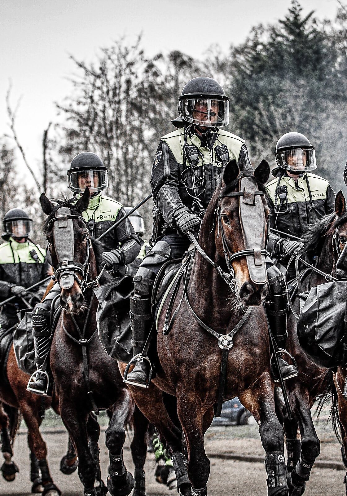 trainingbaseweeze-berittenepolizei-einsatz-pferd-team